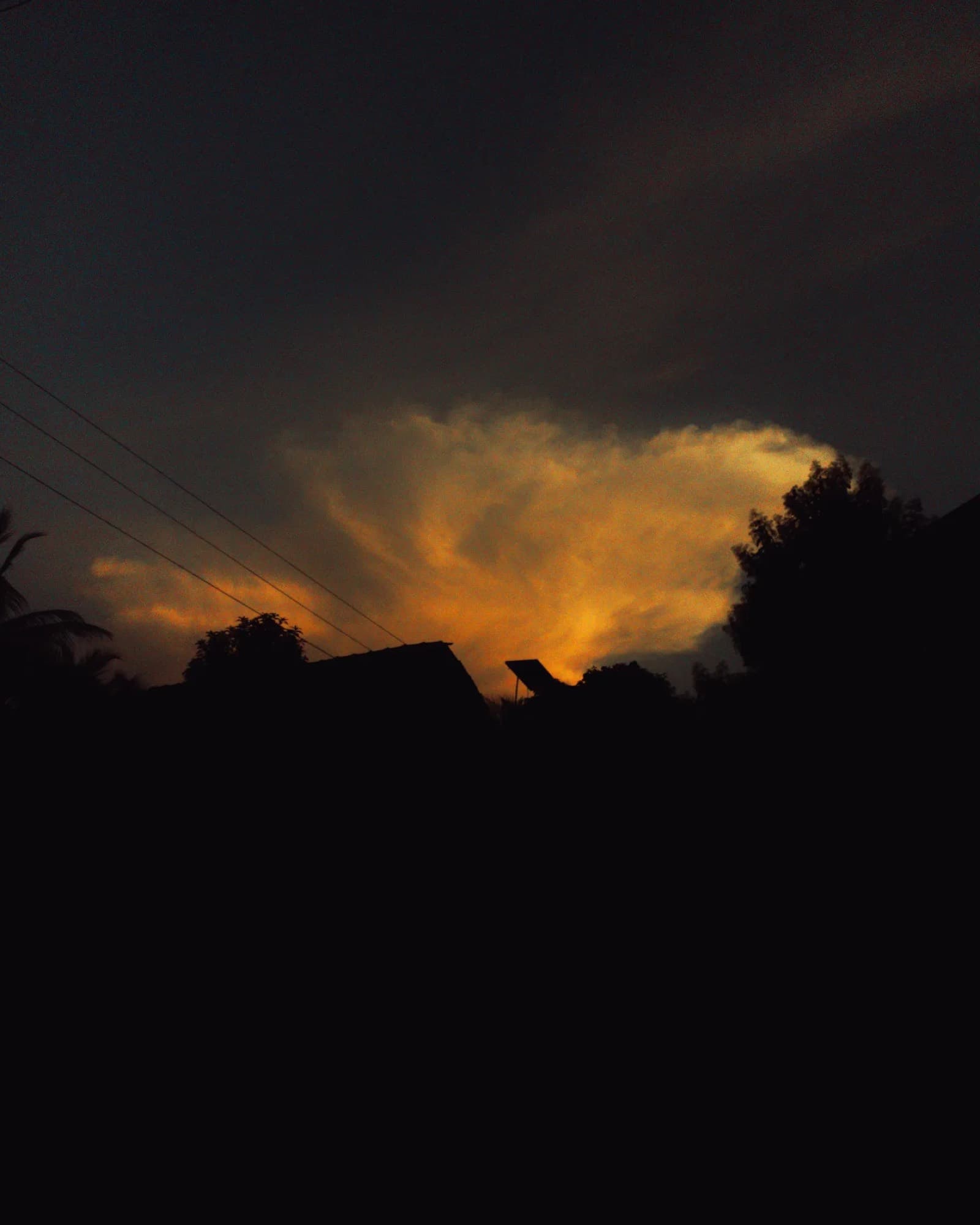 Photograph — placeholder 10