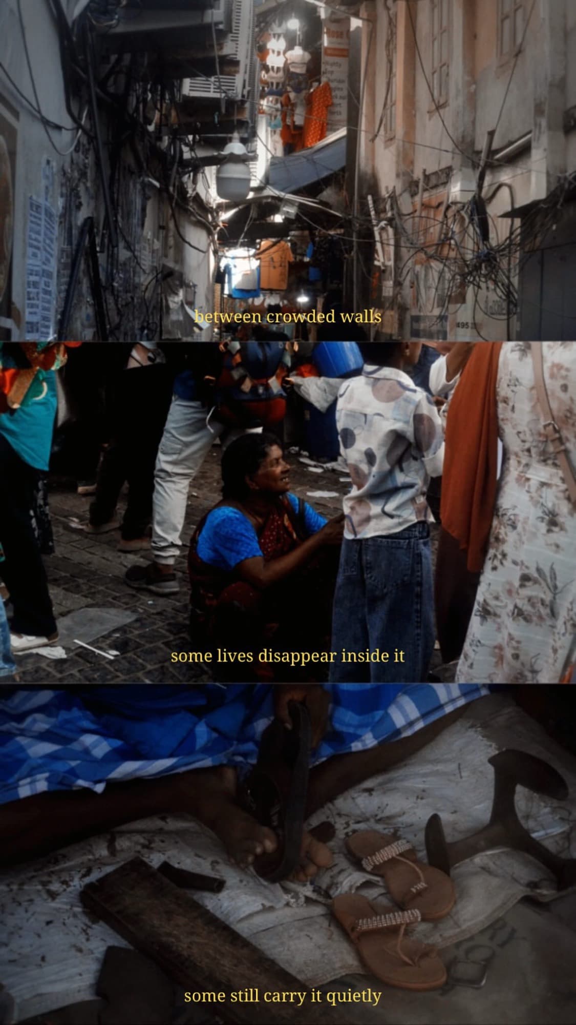 Photograph — placeholder 15